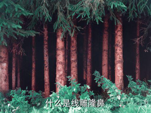 什么是线雕隆鼻