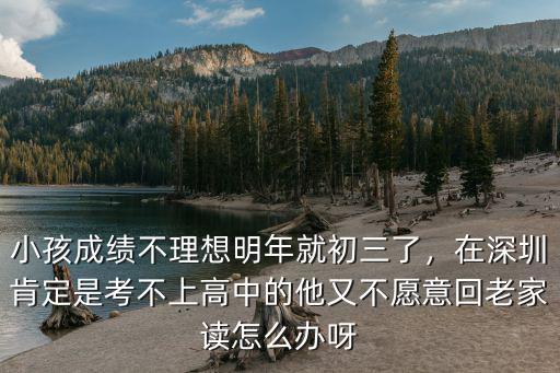 小孩成绩不理想明年就初三了，在深圳肯定是考不上高中的他又不愿意回老家读怎么办呀