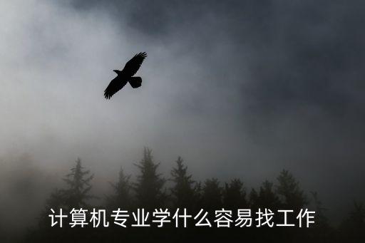 计算机专业学什么容易找工作