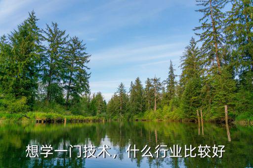 想学一门技术，什么行业比较好
