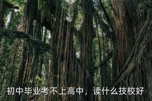 初中毕业考不上高中，读什么技校好