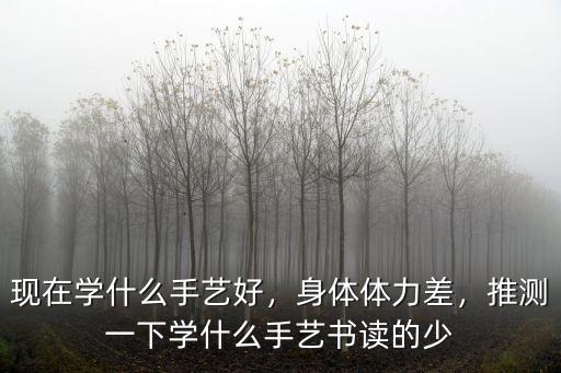 现在学什么手艺好，身体体力差，推测一下学什么手艺书读的少