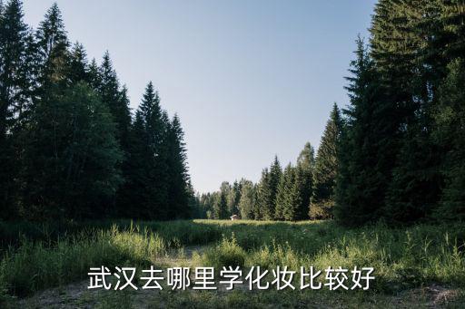 武汉去哪里学化妆比较好