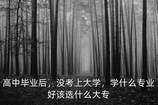 高中读完读什么好,学什么专业好