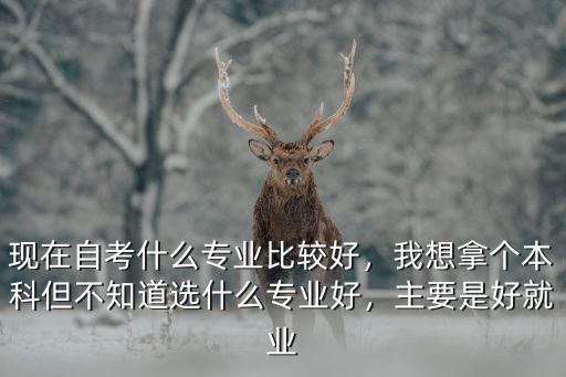 现在自考什么专业比较好，我想拿个本科但不知道选什么专业好，主要是好就业