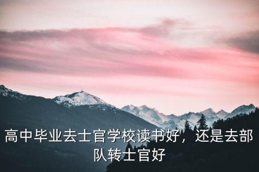 高中毕业去士官学校读书好，还是去部队转士官好