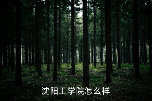 沈阳工学院怎么样