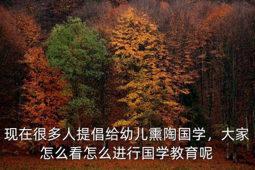 现在很多人提倡给幼儿熏陶国学，大家怎么看怎么进行国学教育呢