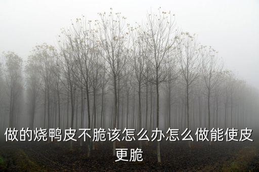 做的烧鸭皮不脆该怎么办怎么做能使皮更脆