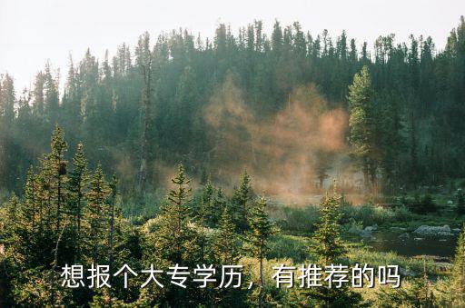 报大专需要什么学历,无学历怎么自考大专