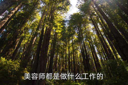 美容师都是做什么工作的