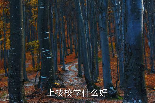 上技校学什么,上技校学什么技术不会冷门