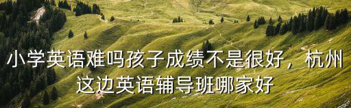 杭州儿童学英语哪里好,杭州这边英语辅导班哪家好