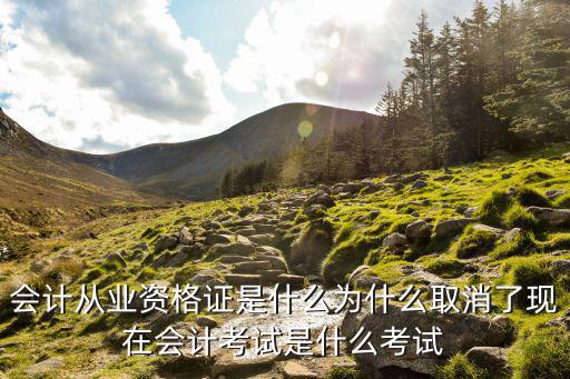 现在会计还有什么考试,会计从业资格证是什么