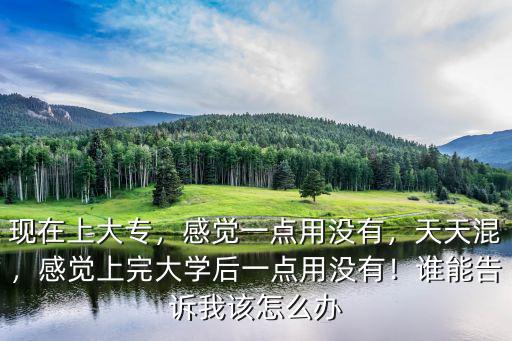 现在上大专，感觉一点用没有，天天混，感觉上完大学后一点用没有！谁能告诉我该怎么办