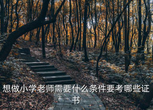 想做小学老师需要什么条件要考哪些证书