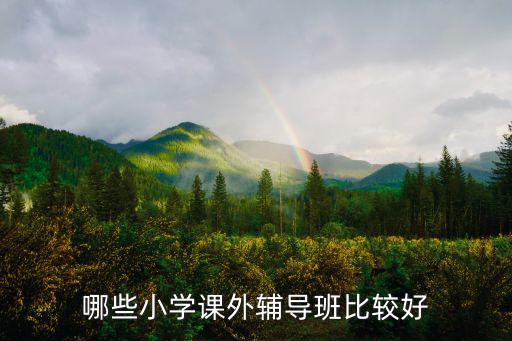 小学辅导班叫什么好,哪些小学课外辅导班比较好