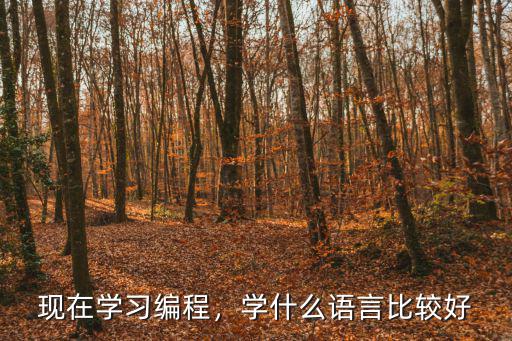 现在学习编程，学什么语言比较好