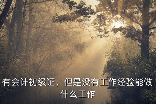 有会计初级证，但是没有工作经验能做什么工作