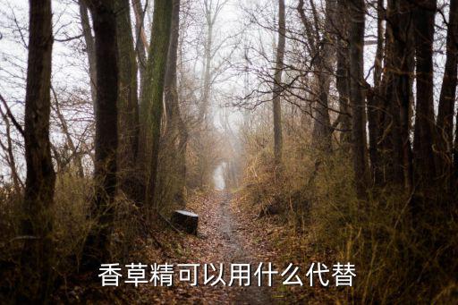 香草可以做什么西点,西点有哪些种类