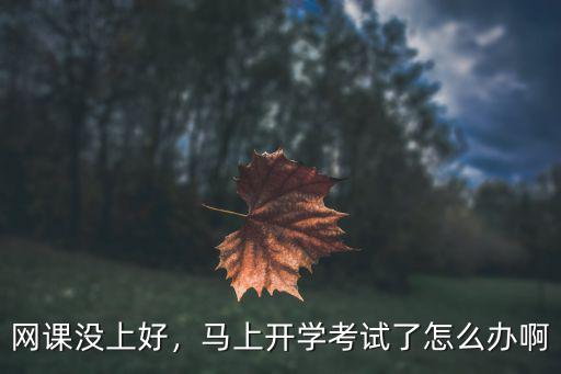 网课没上好，马上开学考试了怎么办啊