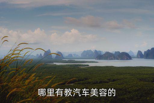 哪里有教汽车美容的