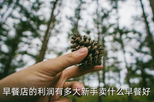 早餐店的利润有多大新手卖什么早餐好