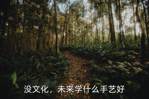 没文化，未来学什么手艺好