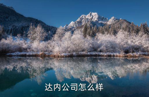 达内公司怎么样