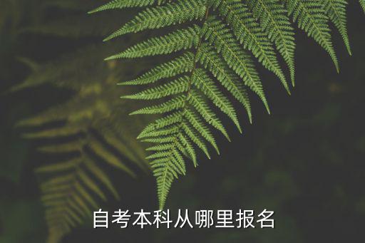 自学本科去哪里报名,如何报名自考