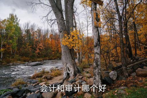 会计和审计哪个好