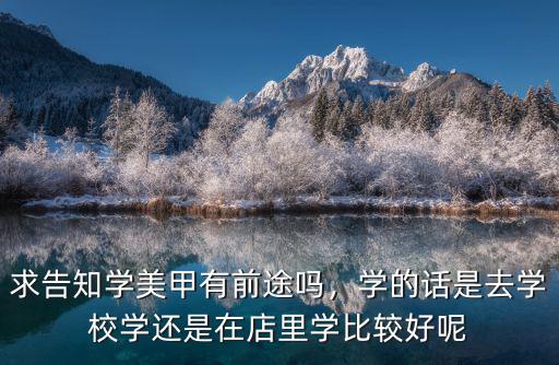 求告知学美甲有前途吗，学的话是去学校学还是在店里学比较好呢