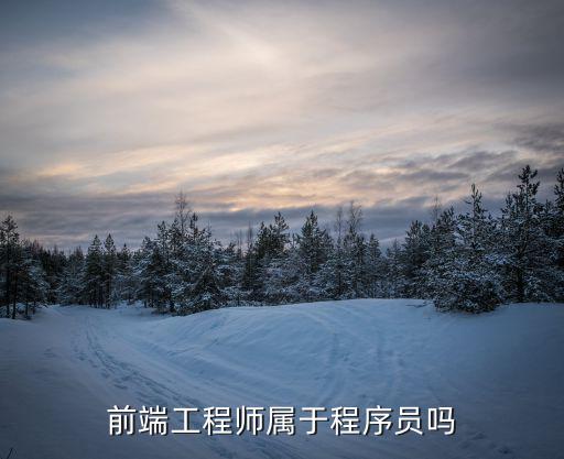 前端工程师属于程序员吗