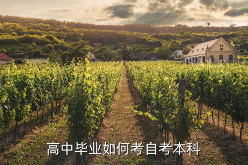 高中毕业怎么自己考自考,高中没毕业也可以自考吗