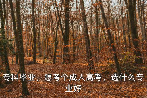 成人高考选什么专业,成人高考学什么专业比较好