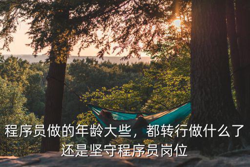 程序员做的年龄大些，都转行做什么了还是坚守程序员岗位