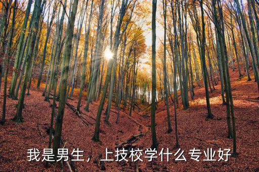 男孩子上技校学什么好,上技校学什么专业好