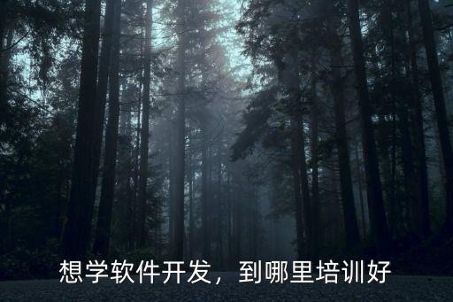 想学软件开发，到哪里培训好