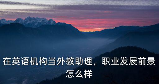 在英语机构当外教助理，职业发展前景怎么样