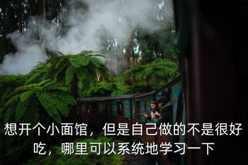 想开个小面馆，但是自己做的不是很好吃，哪里可以系统地学习一下