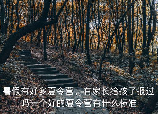 暑假有好多夏令营，有家长给孩子报过吗一个好的夏令营有什么标准