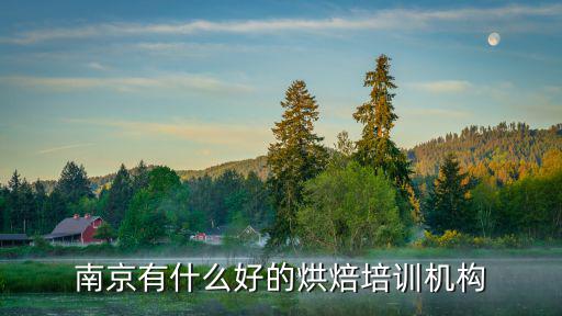 南京烘焙培训哪里好,南京蛋糕技术培训哪里好
