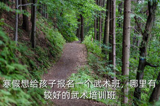 寒假想给孩子报名一个武术班，哪里有较好的武术培训班