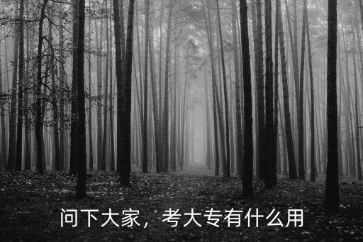 问下大家，考大专有什么用