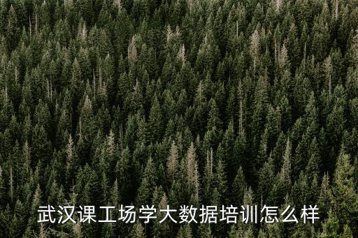 武汉课工场学大数据培训怎么样