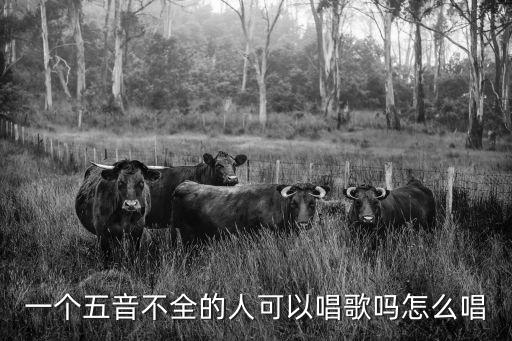 一个五音不全的人可以唱歌吗怎么唱