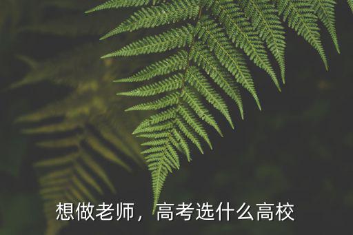 当老师高考要考什么大学,如果将来想当高中化学老师