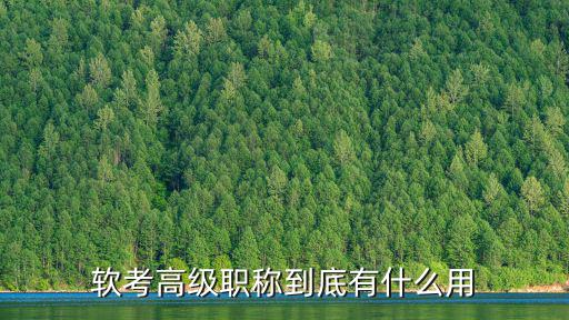 软考高级职称到底有什么用