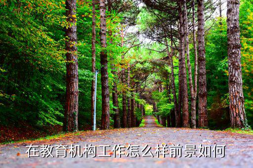 在教育机构工作怎么样前景如何