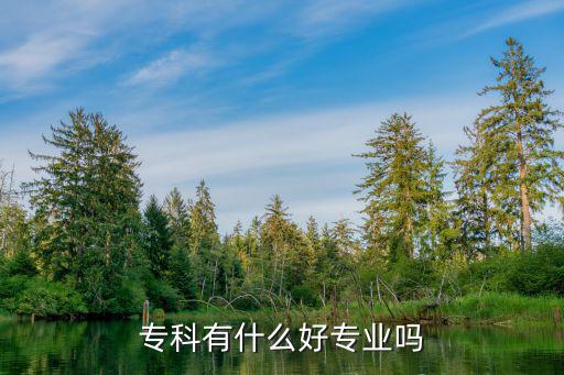 读专科主要学什么条件,专科有什么好专业吗